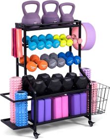 Basics Home Gym Storage for Dumbbells and other Accessories