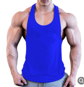 Gym Men Muscle Sleeveless Shirt Tank Top Bodybuilding Sport Fitness Workout Vest (Color: Blue, size: L)