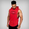 Aesthetic Academy Hoodie Sleeveless Sweatshirts for Men