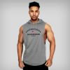 Aesthetic Academy Hoodie Sleeveless Sweatshirts for Men