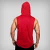 Aesthetic Academy Hoodie Sleeveless Sweatshirts for Men