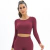 Seamless Sports Fitness Yoga Shirt Open Back Athletic Top Long Sleeve Crop