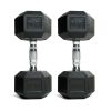 20lb Coated Rubber Hex Dumbbell, Pair